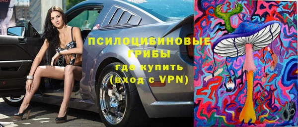 дживик Алексин