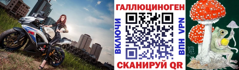 Псилоцибиновые грибы мицелий Тогучин